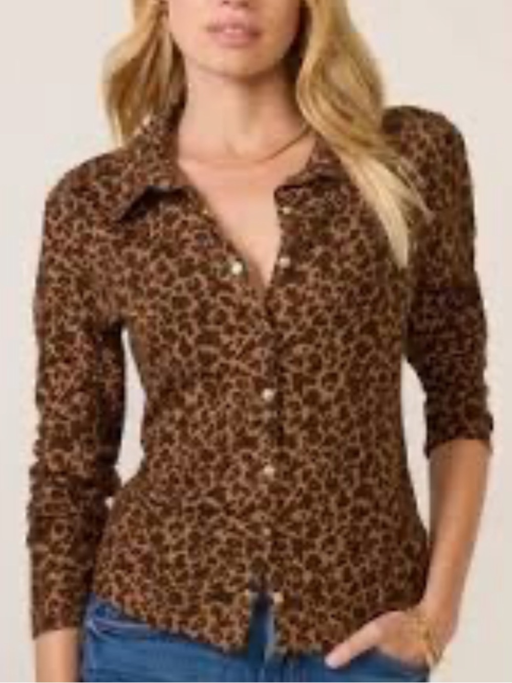 Evereve Leopard Print Button-Front Top